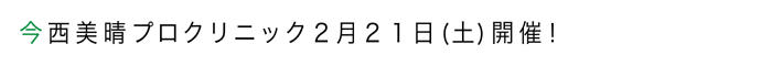 今西身美晴プロクリニック見出し